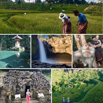 Ubud Private Day Tour